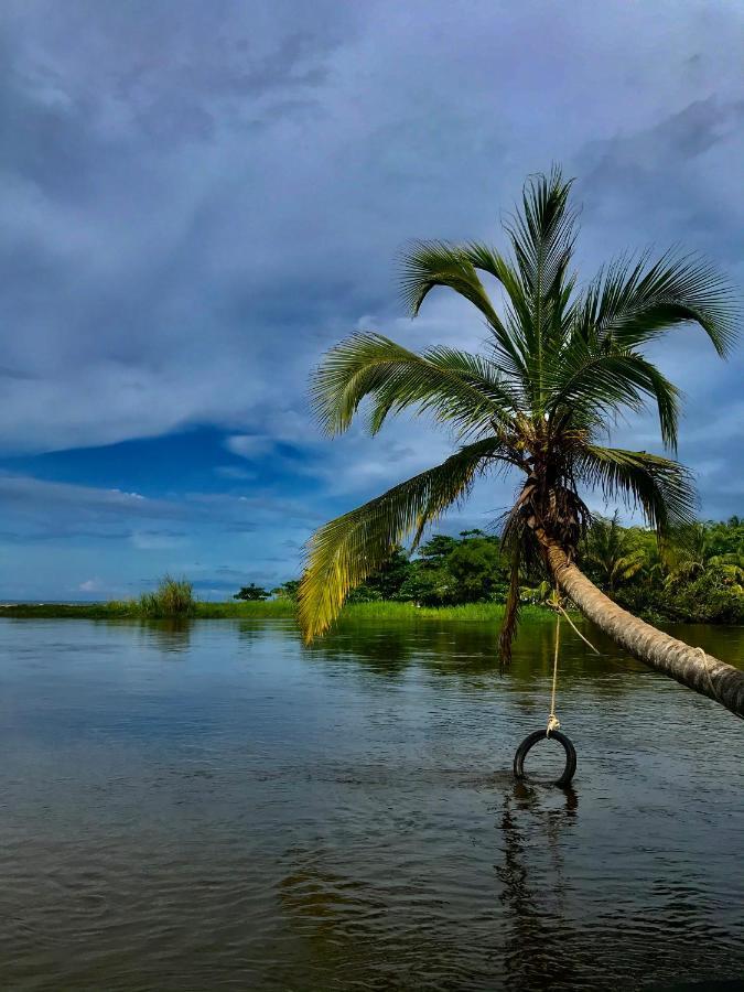 Donama River Palomino Dış mekan fotoğraf