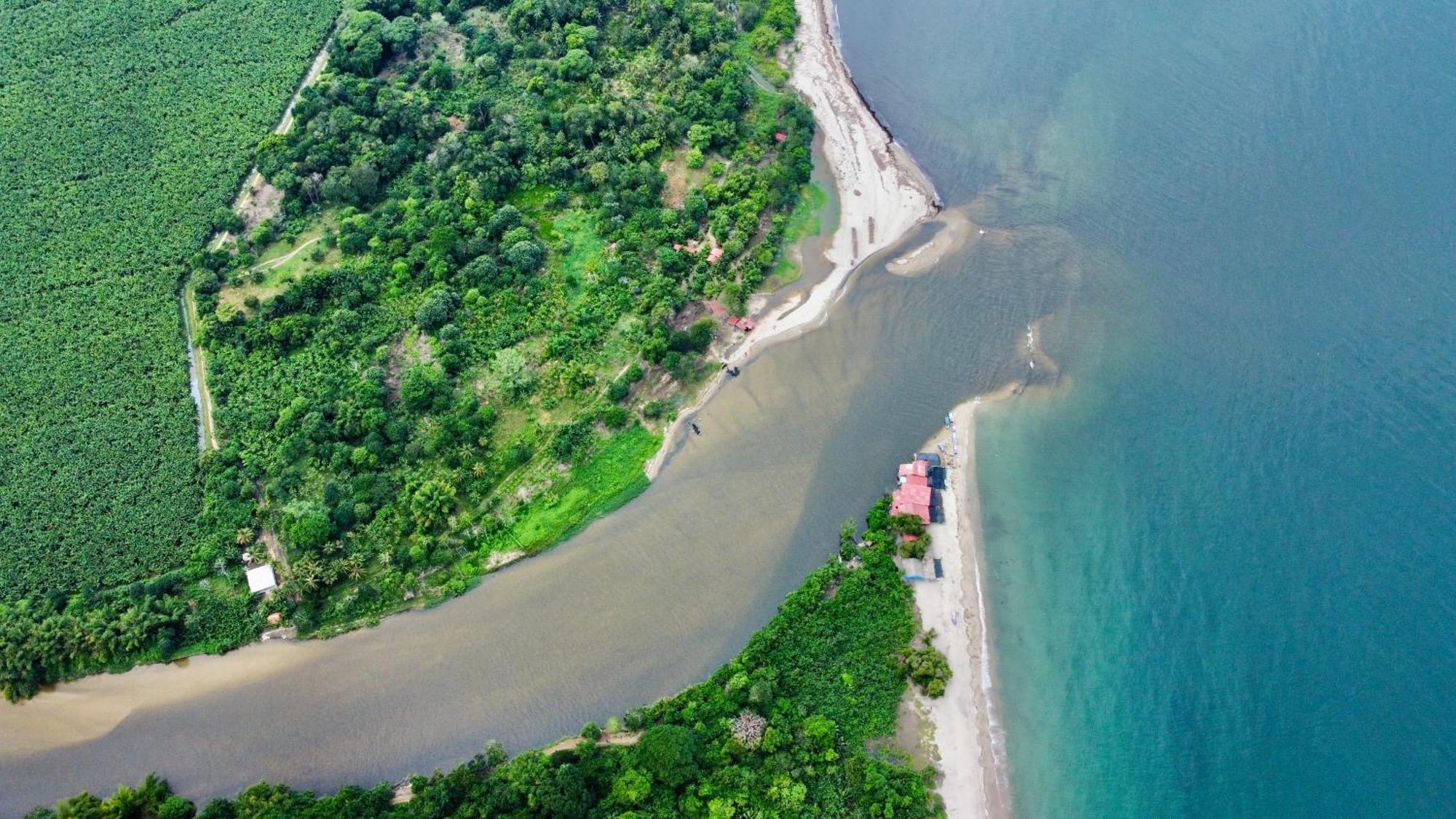 Donama River Palomino Dış mekan fotoğraf